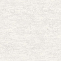 1VV 25755