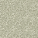 205003