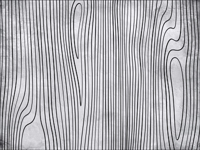 Фотообои Beryozi I Vodopady 7, BERYOZI I VODOPADY, Wall street